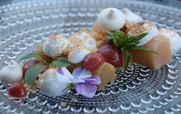 Raparperia ja marenkia Wärssy